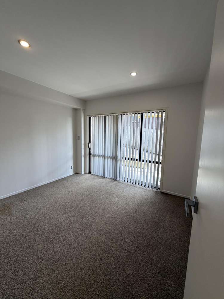 3 Katavich Place Mount Roskill_6