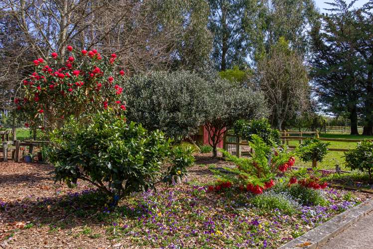 56 Upper Manaia Road Upper Plain_18