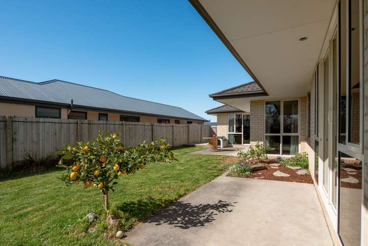 17 Alma Street Renwick_18