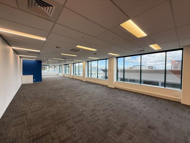 103 Carlton Gore Road Newmarket_2