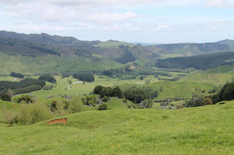 2896 State Highway 3 Awakino_28