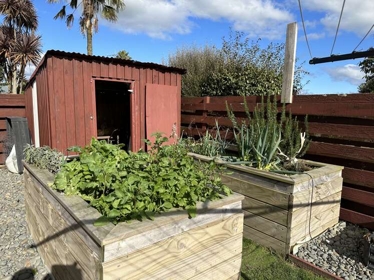 20 Tawhara Place Edgecumbe_15