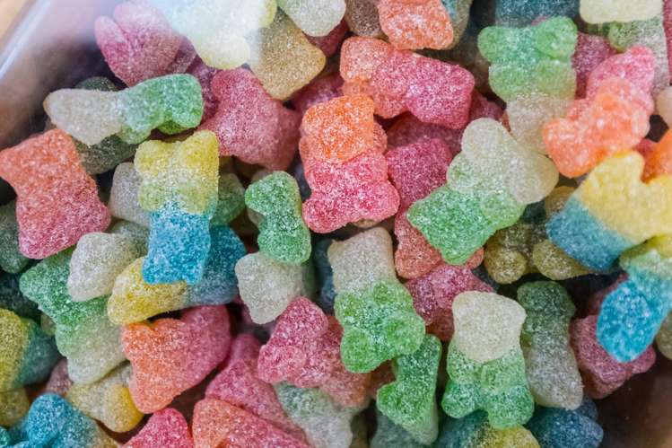 8 Kitchener Street Martinborough_19