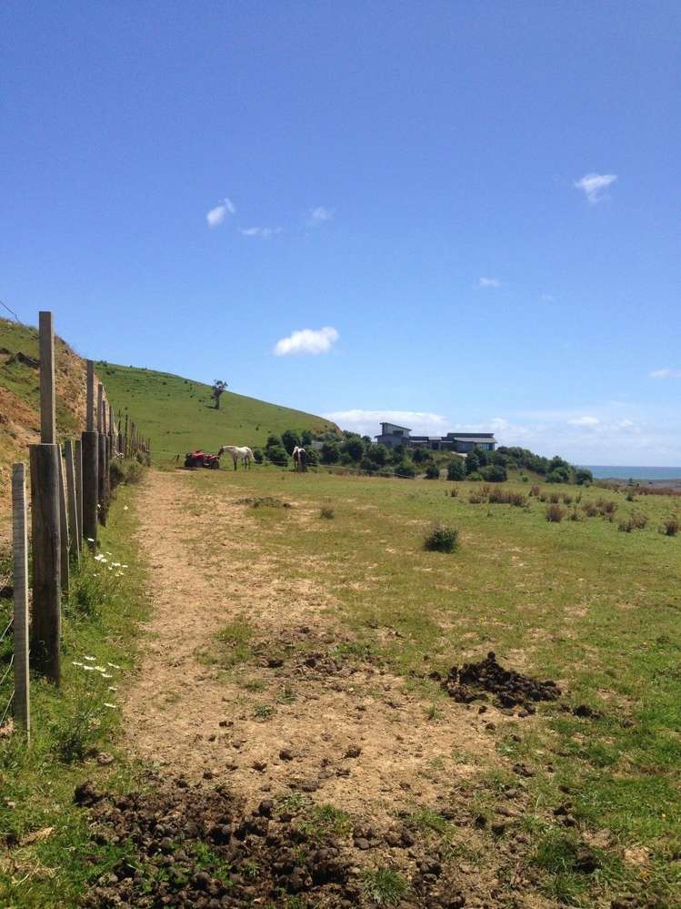 1445 Marokopa Road Marokopa_15