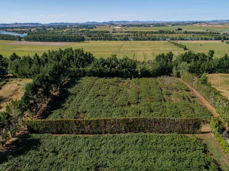 159 Plantation Road Rangiriri_7