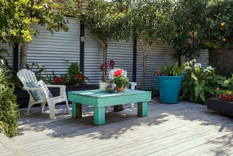 86A Churchill Road Murrays Bay_7