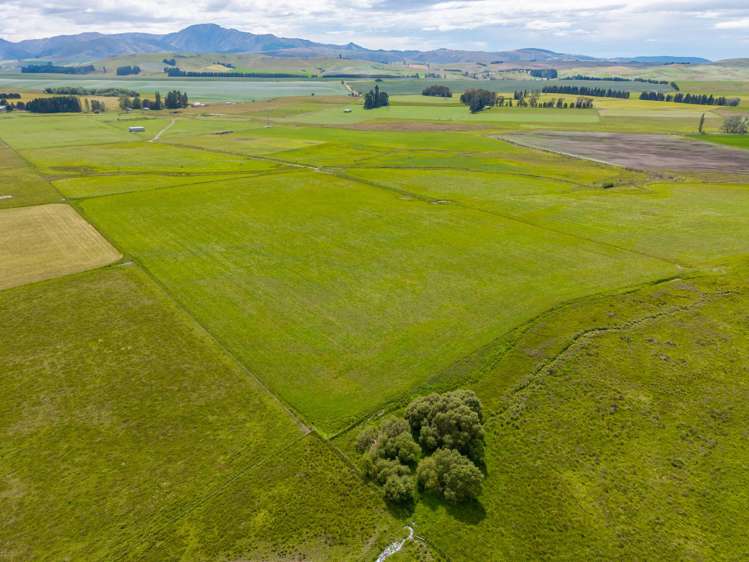 311 Hamilton Road Fairlie_22