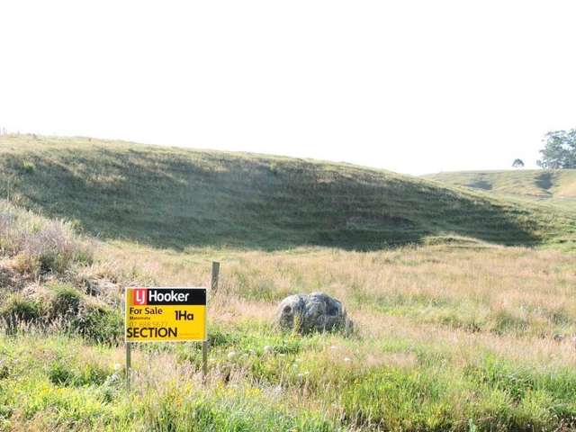 Taotaoroa Road Matamata_3