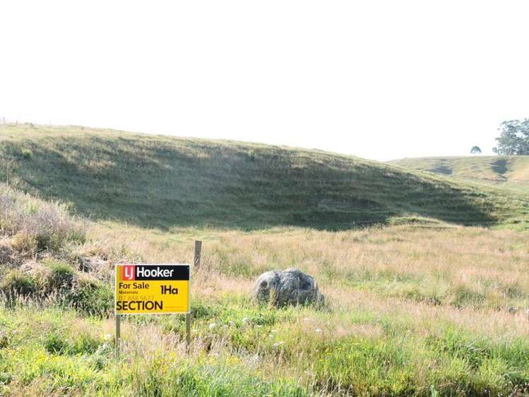 Taotaoroa Road Matamata_3