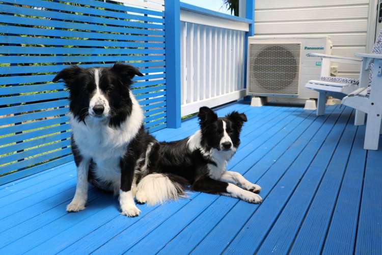 69 Maplesden Drive Clendon Park_13