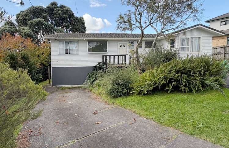 82 Luckens Road_0
