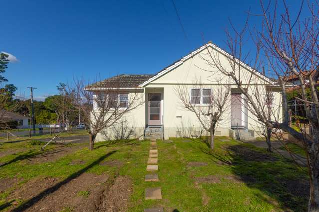 13 Wakatipu Street Point Chevalier_1