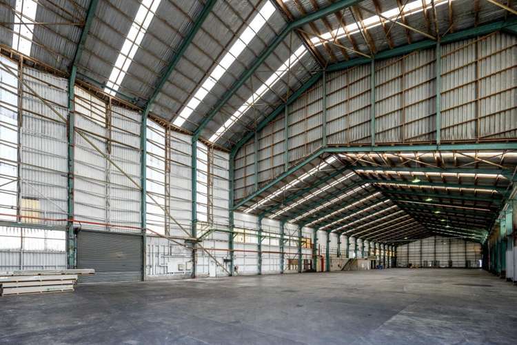 50 O'Rorke Road Penrose_8