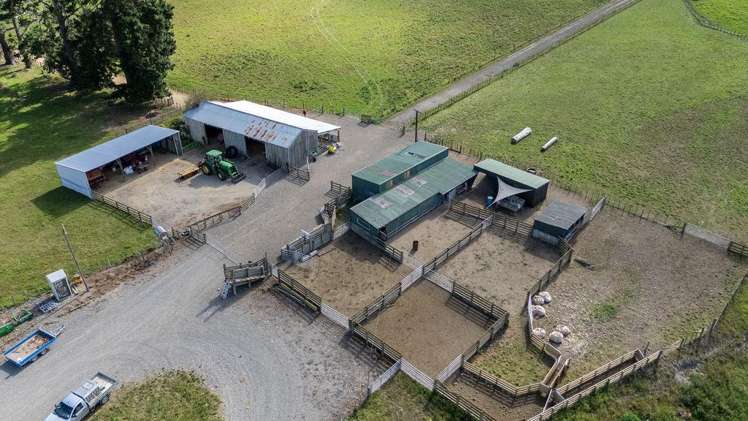 801 Cornwall Road Gladstone_11