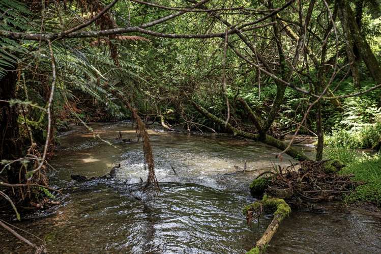 26 Settlement Road Pikowai_21