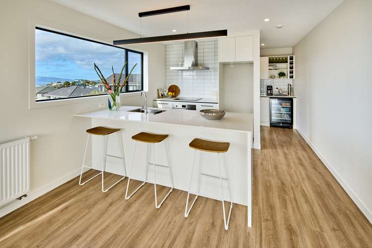 30 Ashton Fitchett Drive Brooklyn_6