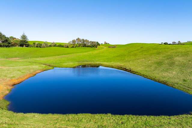 792 Omamari Road Dargaville_4