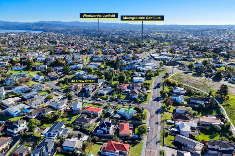 4a Drew Street Mount Roskill_21