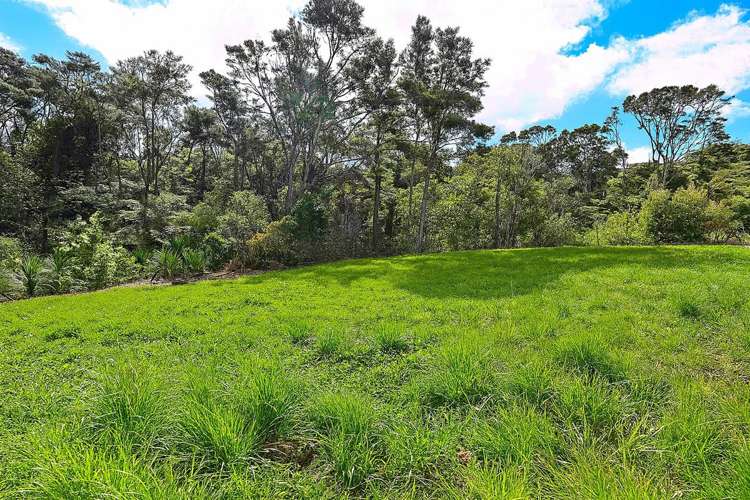 5 A, B, C Chatham Avenue Paremoremo_19