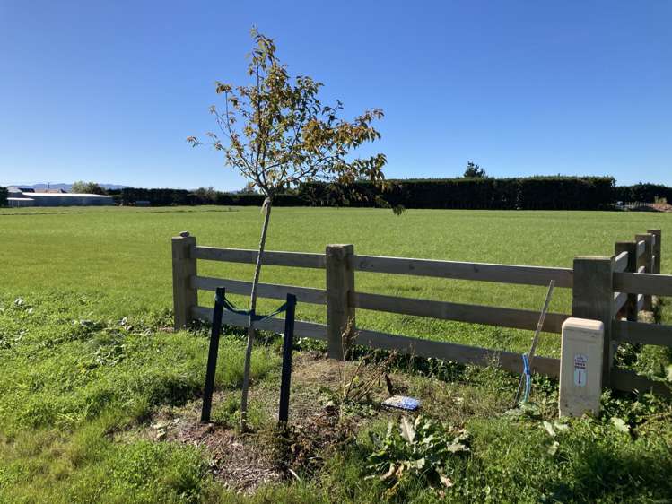 13 Westward Way Methven_13