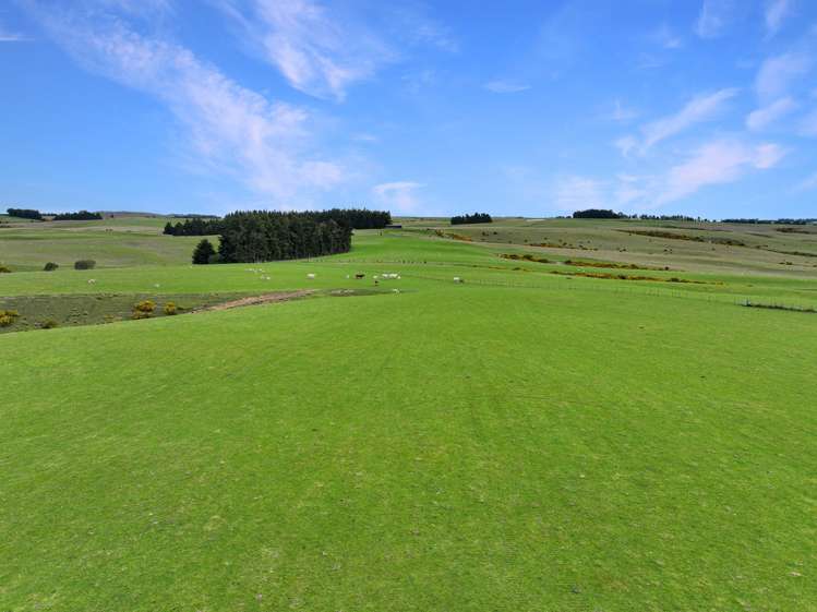 267 (Farm) Wehenga Road Hindon_9