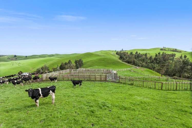 500 Tahuroa Road Tauwhare_25