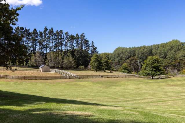 41 Berenice Lane Coatesville_3