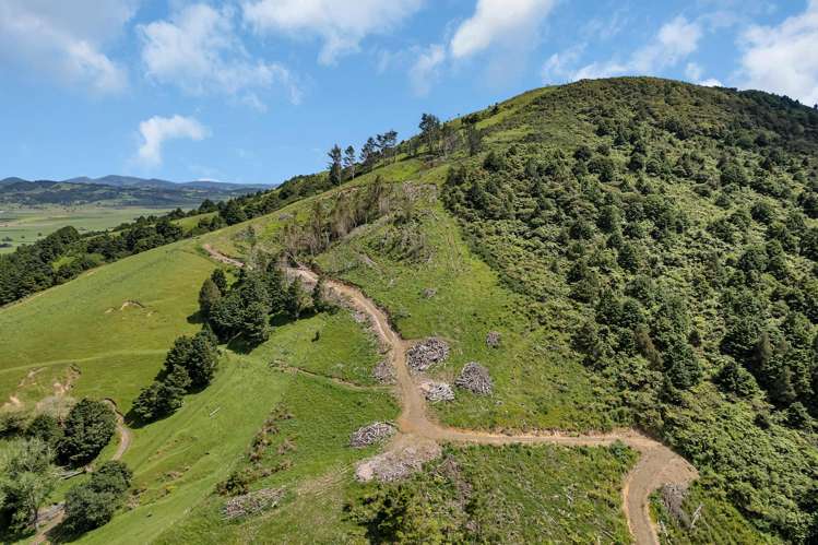 75 Parakiore Road Ngararatunua_10