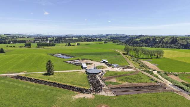 Generational Opportunities Palmerston North_2