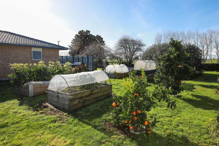 147 Boyd Road Horsham Downs_15