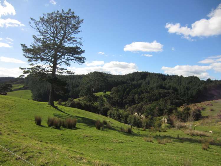 339 Stoney Creek Road Kaukapakapa_18