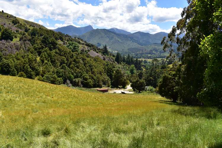 1809 Motueka Valley Highway Ngatimoti_0