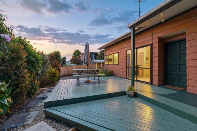 201B Halsey Drive Lynfield_3