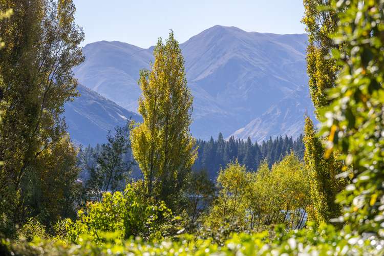 4 Tapley Paddock Wanaka_16