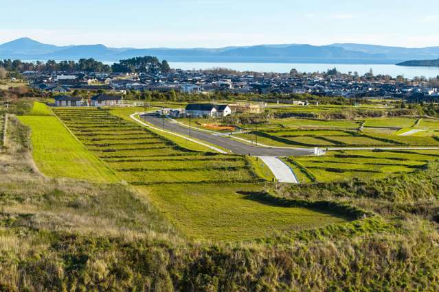 60 Wharariki Rise Wharewaka_1