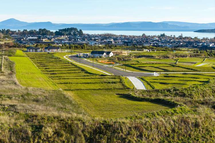 60 Wharariki Rise Wharewaka_1