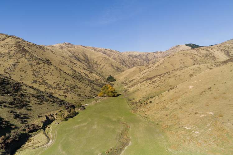 3459 State Highway 63 Wairau Valley_10