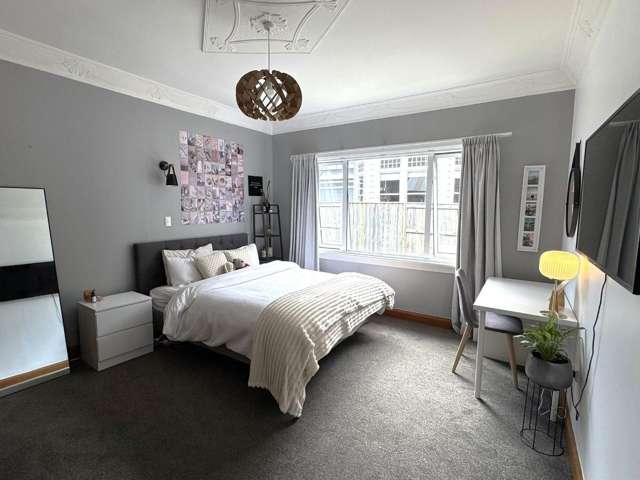 7 Nelson Street Feilding_4