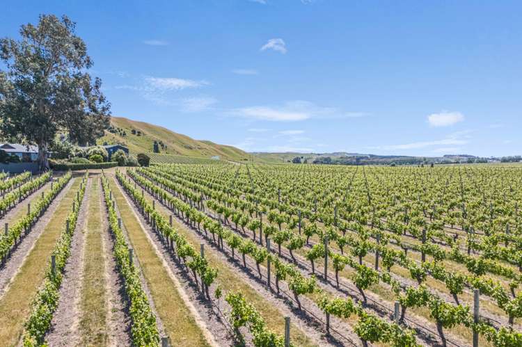 1764 Redwood Pass Road Blenheim_33