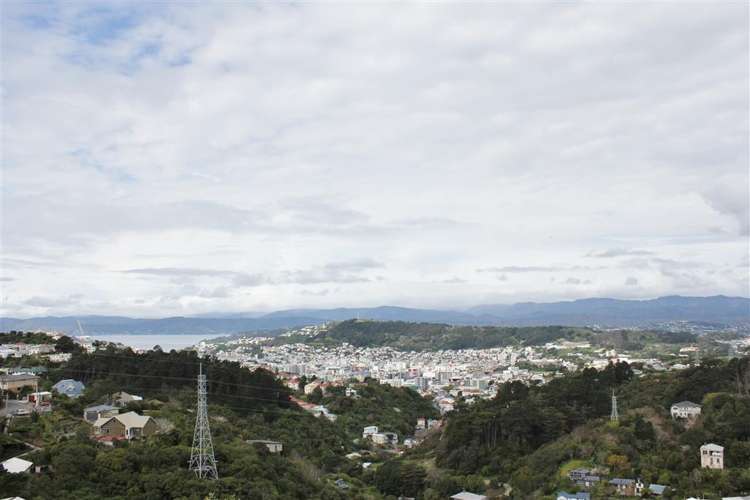 41 Koromiko Road 1251 Wellington City Houses for Rent One Roof