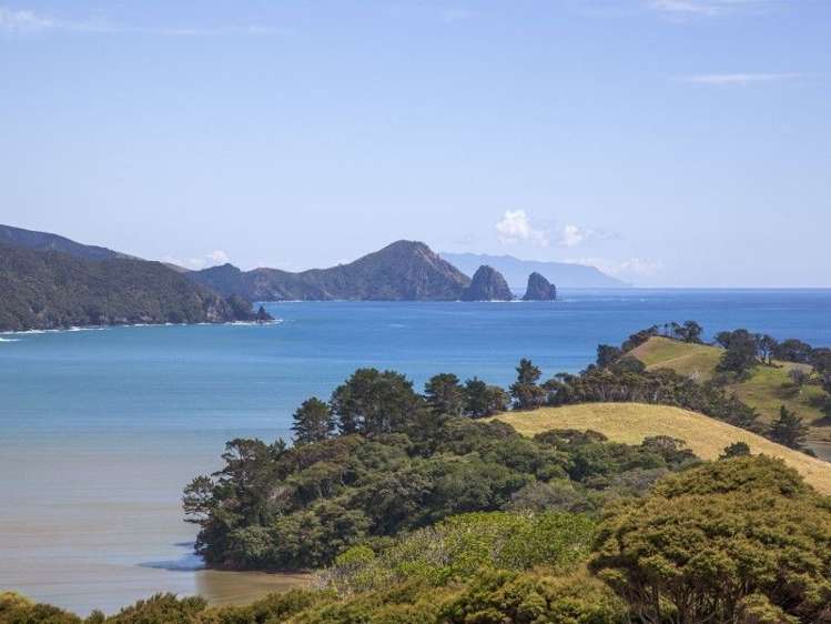 94b Carey Road Port Charles_5