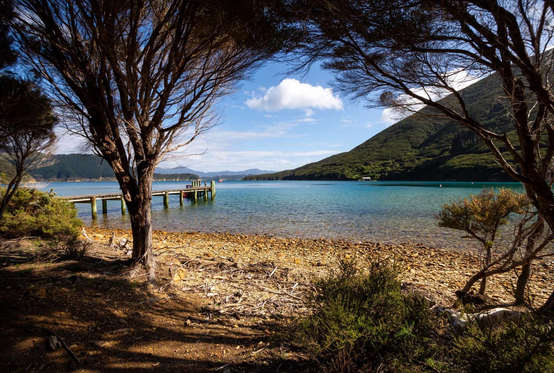 Lot 4 + 5 Te Aroha Bay, Otanerau Bay Marlborough Sounds_0