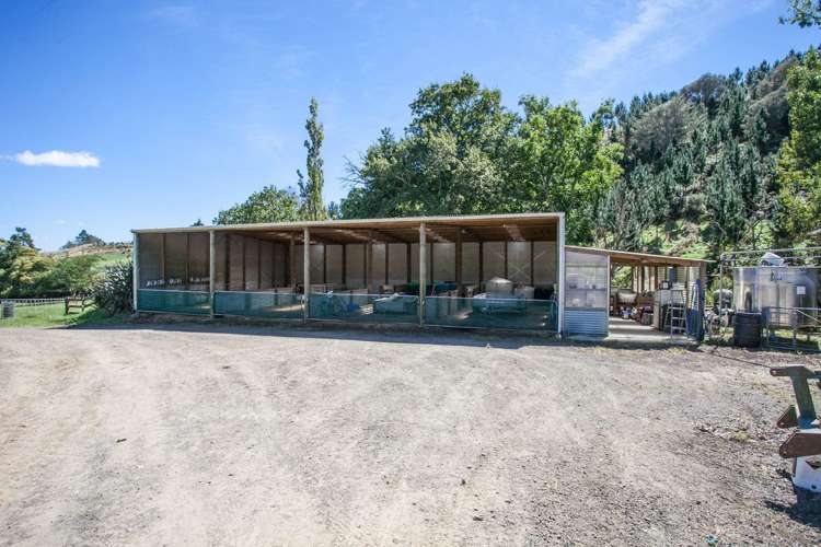 187 Judge Road Rotoorangi_5