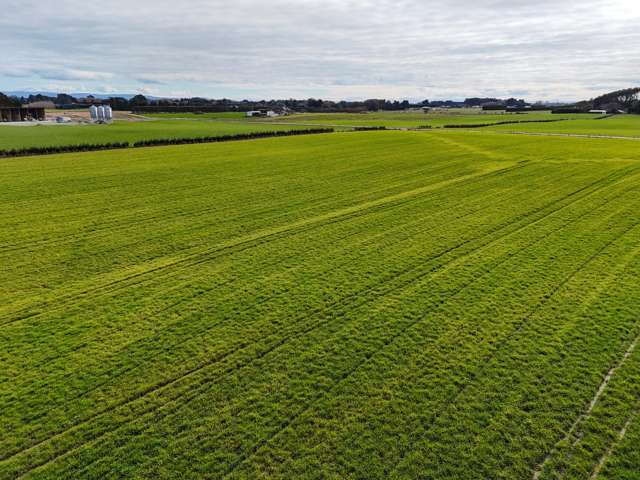 63 Taylor Road Lorneville_1