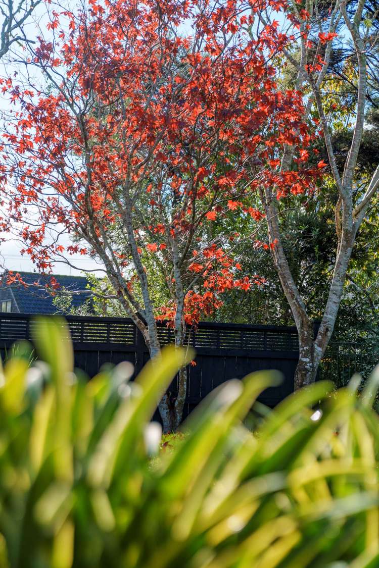 183b Greenhithe Road Greenhithe_31