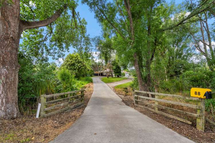 88 Mangawhai Heads Road Mangawhai Heads_13