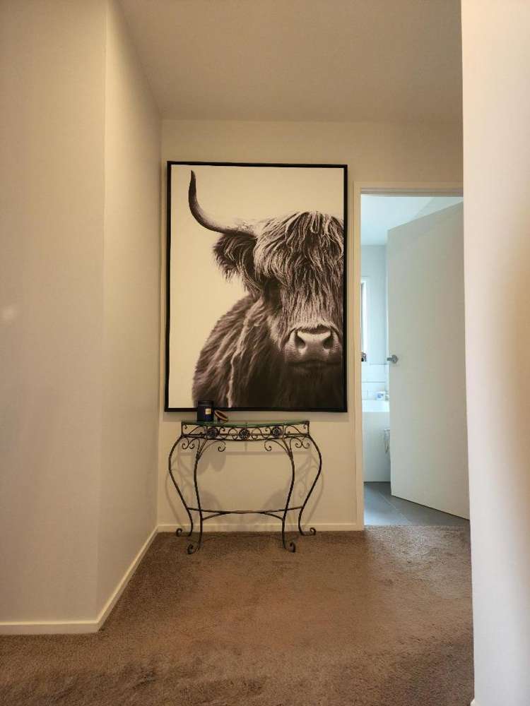 12c Shearer Drive Oakura_16