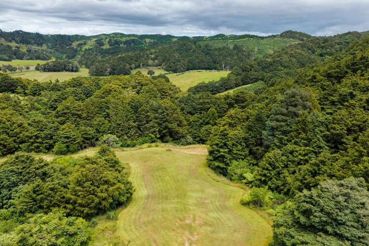 Waipu Caves Estate Drive_5