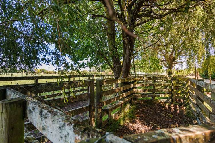 571 Kairanga Bunnythorpe Road Milson_9