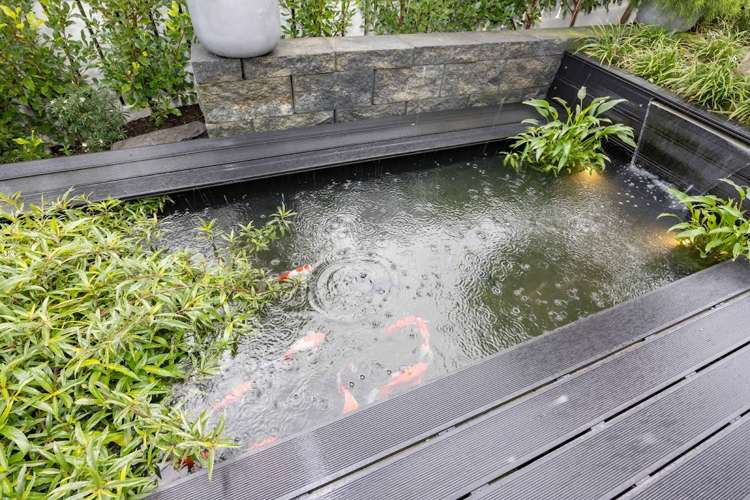 32 Celestial Crescent Orewa_11